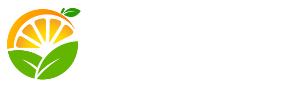 JIUYOU